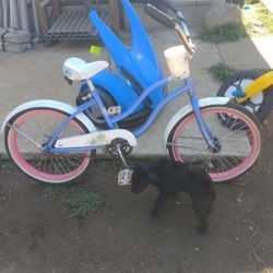 Bike (Dog Not Included)