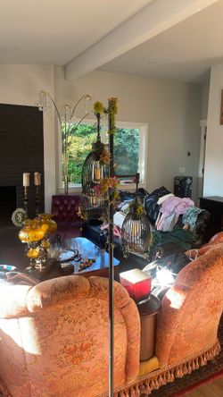 Free moss lamp - pending pickup