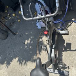 Sunny Exercise Bike