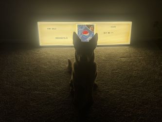 Pepsi Menu Board w/ Lighting & Letters