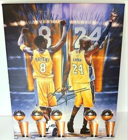 Michael Jordan / Kobe Bryant 16"×20" Canvases ( framed ) $25.00 Each You Pick. Multiple Designs Available