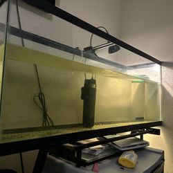 Fish Tank
