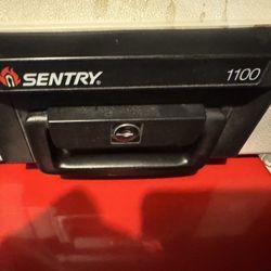 Sentry 1100 Safe 