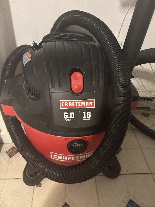 Carpet Cleaner