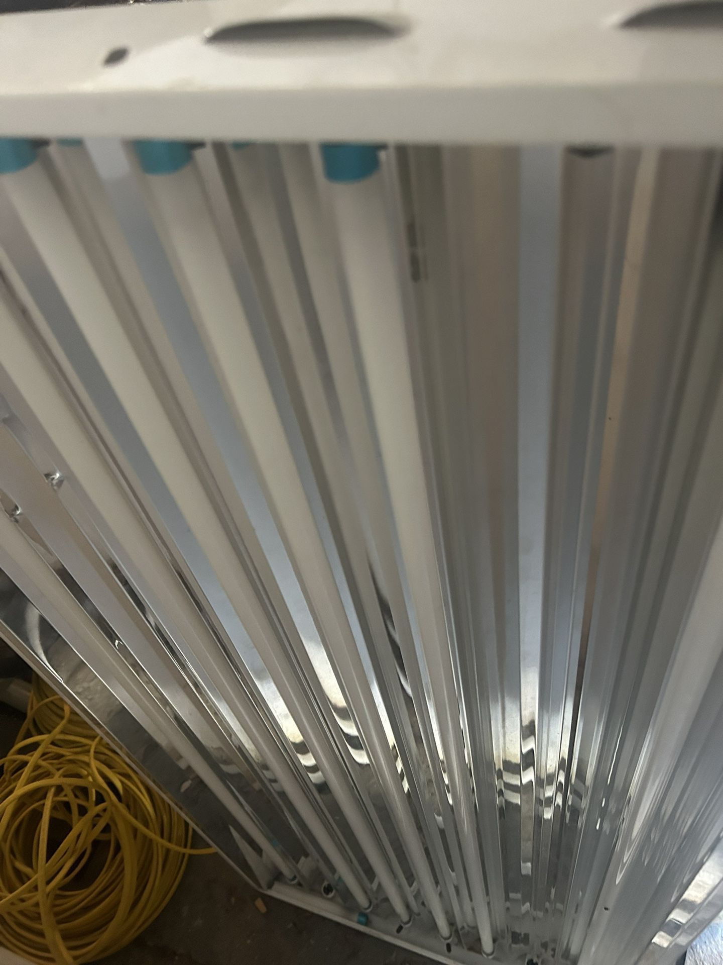 T5 Light