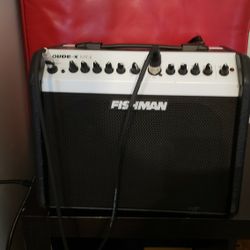 Fishman AMP Mini