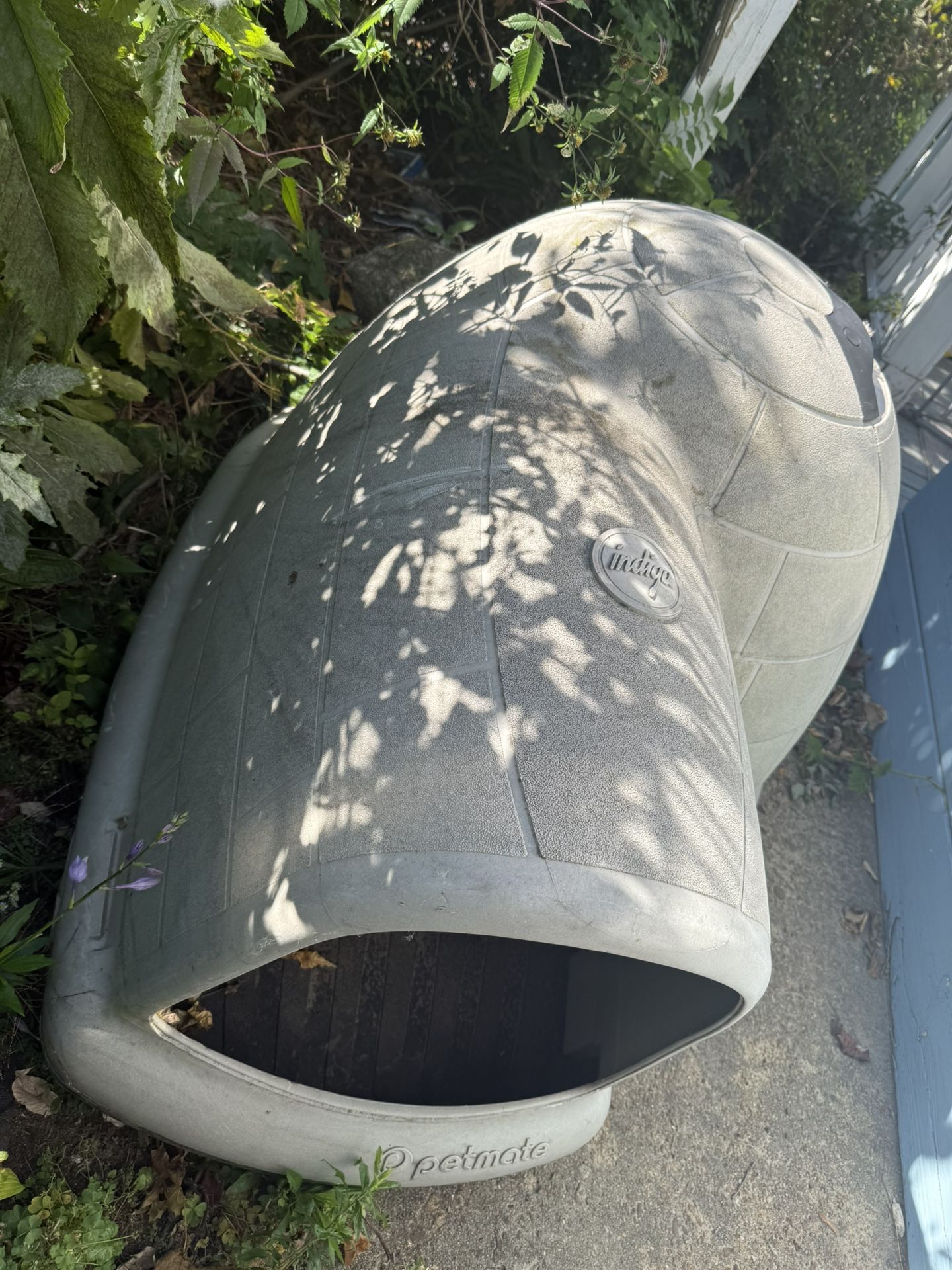 Dog Igloo