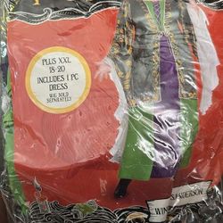 Hocus Pocus Winifred Sanderson 1pc Costume