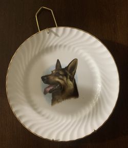Collector Dog Plate With Original Hanger