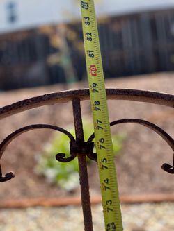 Old rod iron gate