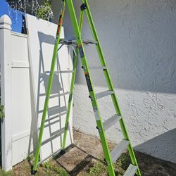 Little Giant 8ft Platform Ladder