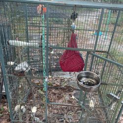 Metal Bird Cage 