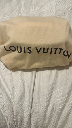 LV Makeup bag