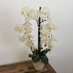 Faux Orchid Plant – $15