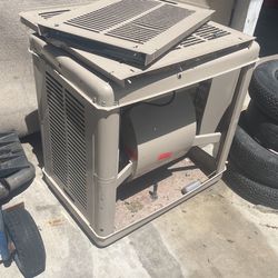 Brand New Cooler