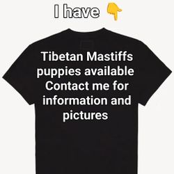 Tibetan Mastiff Puppies T Shirts 
