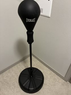 Standing Punching Bag