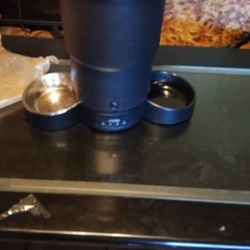 Auto Cat Feeder