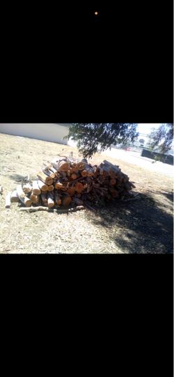 Fresh cut eucalyptus fire wood