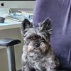 Aymie Penelope