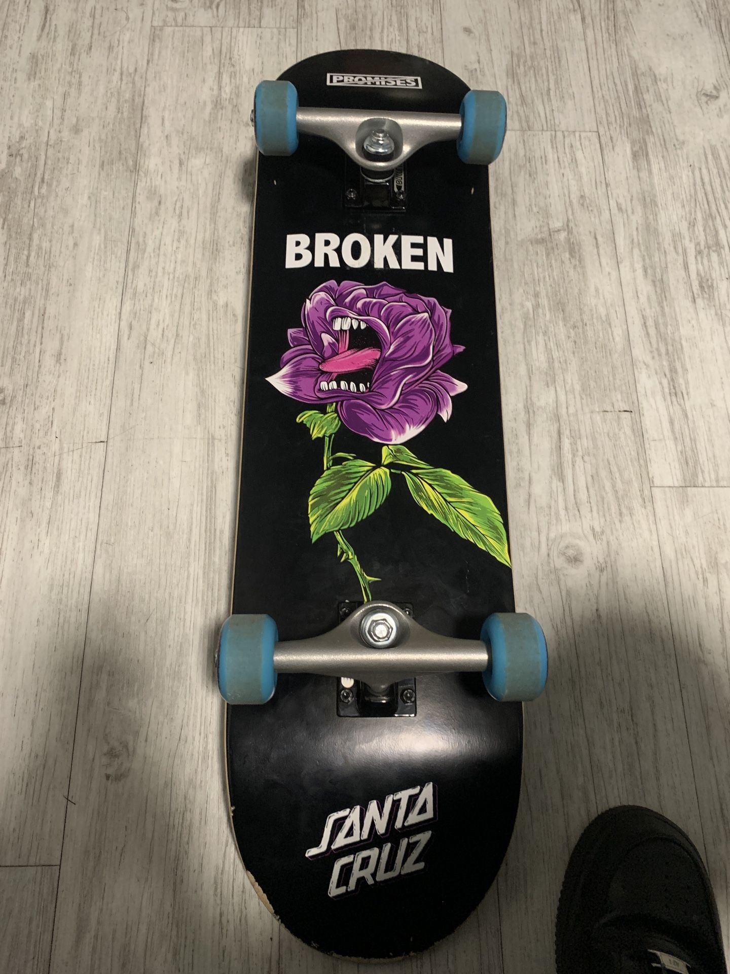 Zummies Skate Board