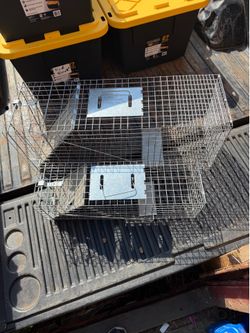 Humane small animal traps
