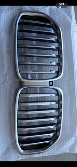 2025 BMW authentic front grill