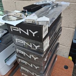 PNY NVIDIA GeForce (VCG84DMS1D3SXPB-CG) 1GB DDR3 SDRAM PCI Express Graphic Card