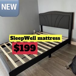 Queen Size Bed Frame Only 