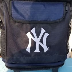 Ice Cooler Bag 