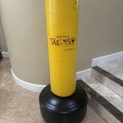 Billy Blanks Tae Bo Freestanding Punching Bag Adjustable In Height
