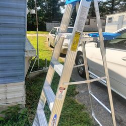 WERNER  6' Aluminium Stepladder