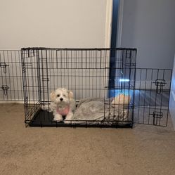 New In box medium sized crate *3 AVAILABLE*