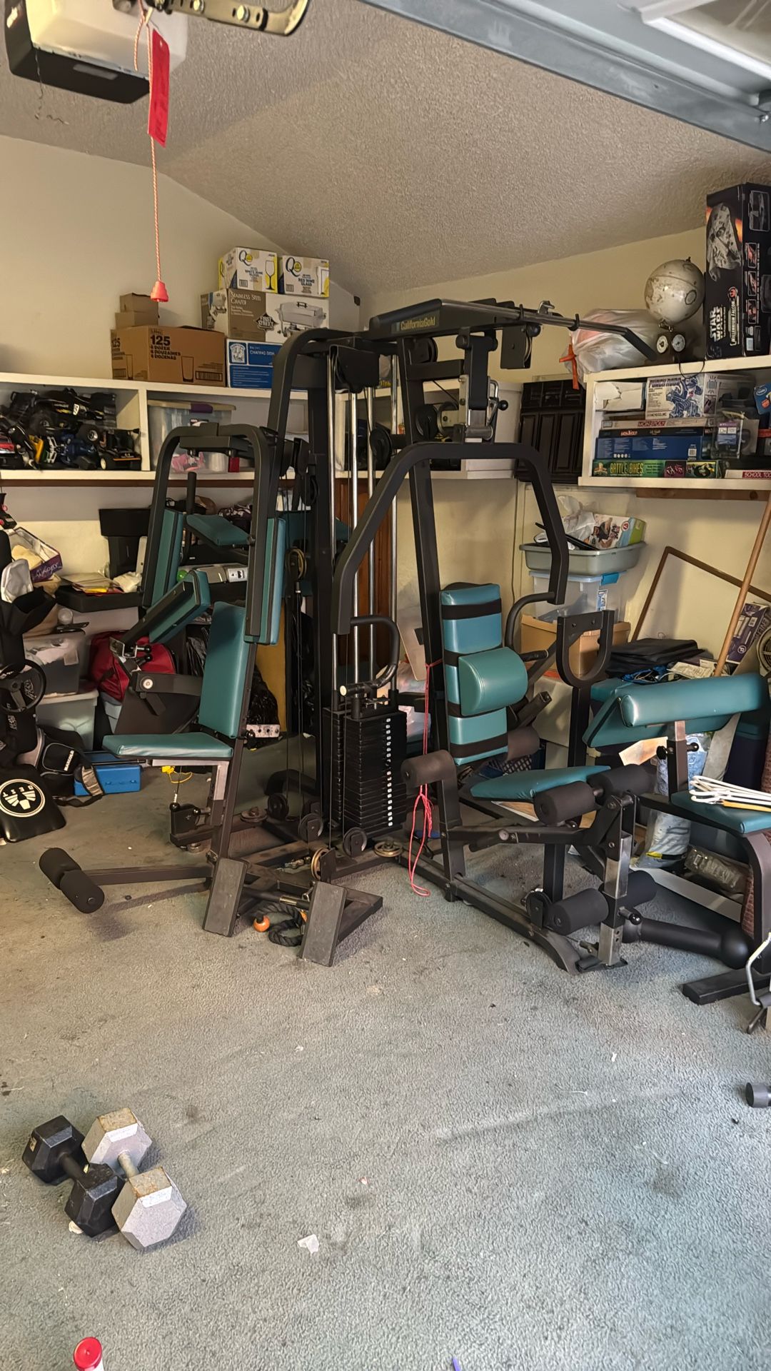 California Gold Home Gym (Includes Curl station)