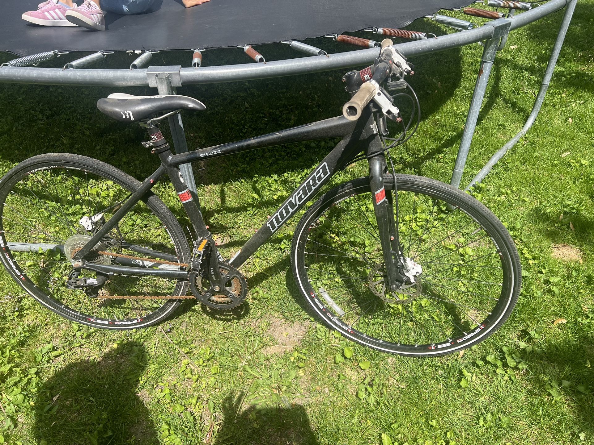 Adult Bike