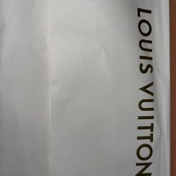 Louis Vuitton trainer sneakers