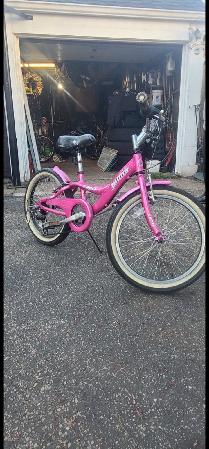 20 inch girl bicycle
