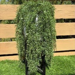 Artificial plant 🌱 for only 15 dollars