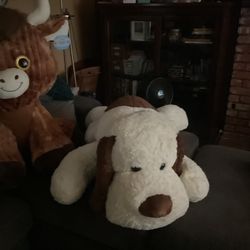 Stuffed Animals 
