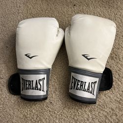 12oz Everlast Gloves 