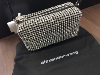 Alexander Wang Heiress Pouch in Crystal Mesh