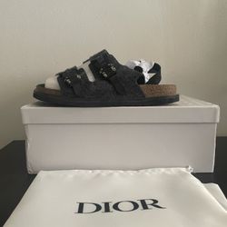 Dior X Birkenstock 