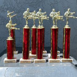 Karate Trophies