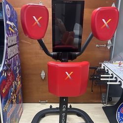N3 Elite Boxing Trainer