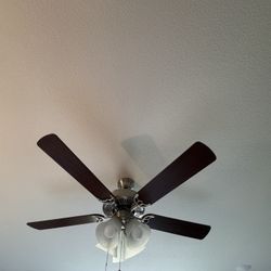 Ceiling Light Fixture/fan