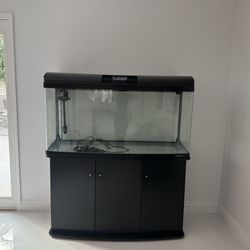 100 Gallon Fish tank