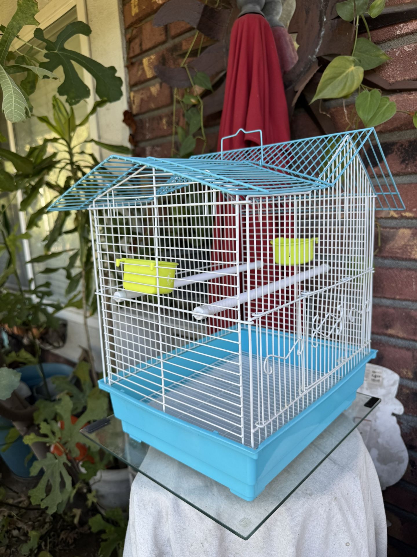 Bird Cage