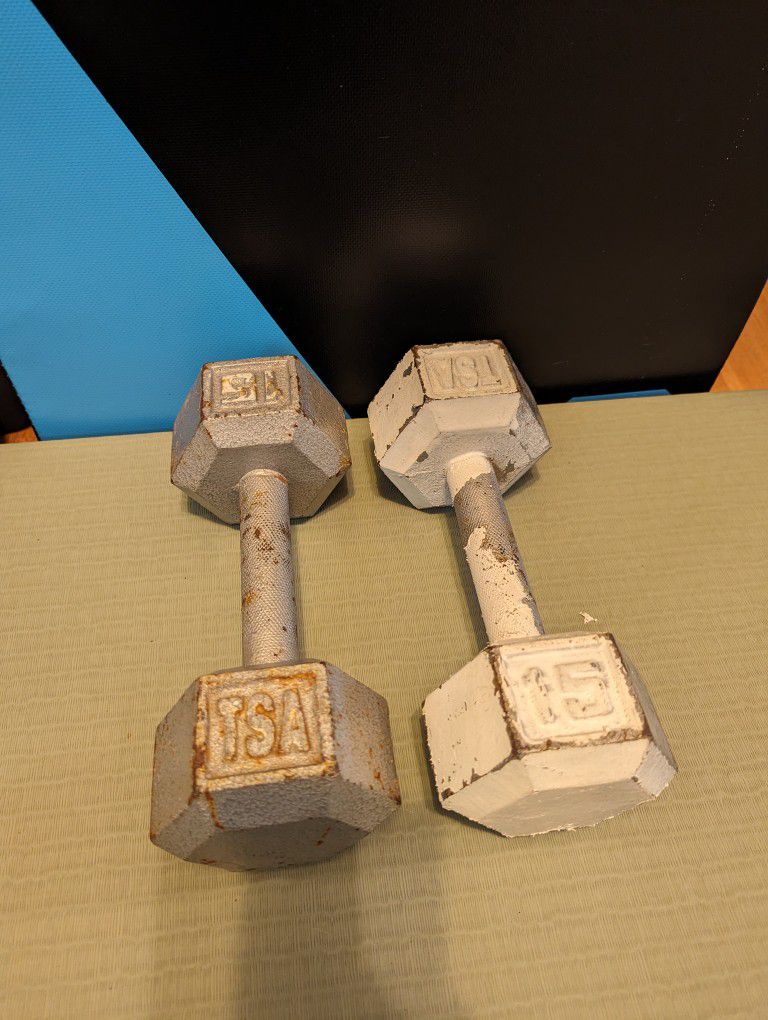 Set Of 2 Iron Dumbbells: 15lbs Each