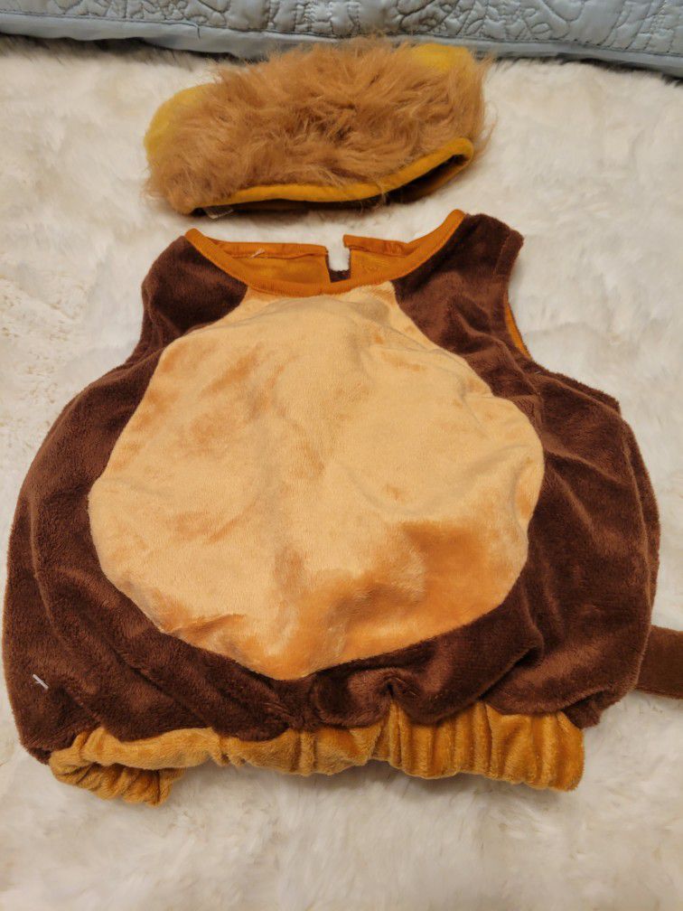 Baby Lion Halloween Costume. Puffy And Soft. Like New. 