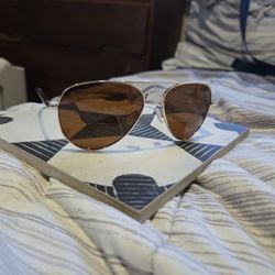 Polorized Aviator Sunglasses 